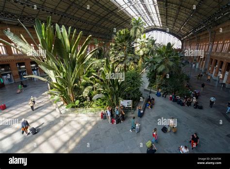 Madrid, Spain, September 2022. panoramic view of the tropical garden inside the Atocha railway ...