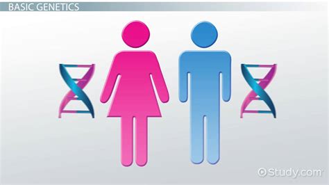 Genetic Linkage: Meaning & Analysis - Lesson | Study.com