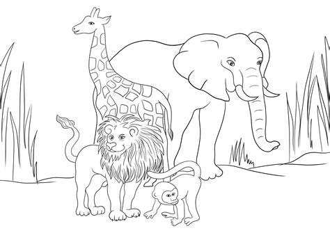 African Animals Coloring Page Free Printable Coloring Pages