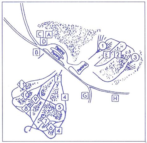 Magic Mountain ID Trail Map | Liftopia