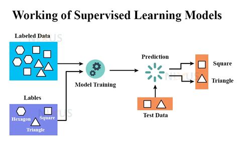 Supervised Learning Types, Algorithms and Applications - Nixus