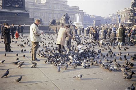 Feeding the Pigeons on London's Trafalgar Square in 1967 - Flashbak