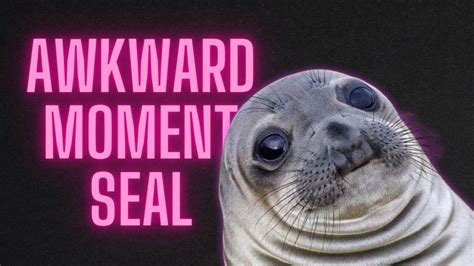 Awkward moment seal - meme compilation - YouTube