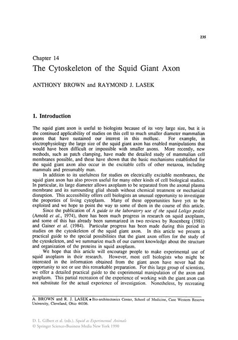 (PDF) The Cytoskeleton of the Squid Giant Axon