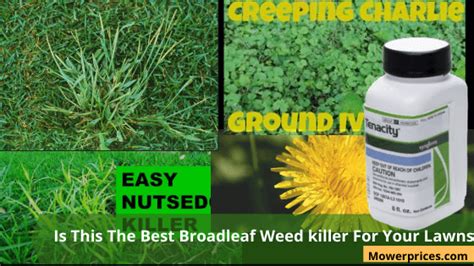 Is This The #1 Best Broadleaf Weed killer For Lawns?