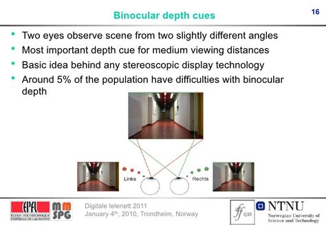 Binocular cues to depth and sirds - bingerbm