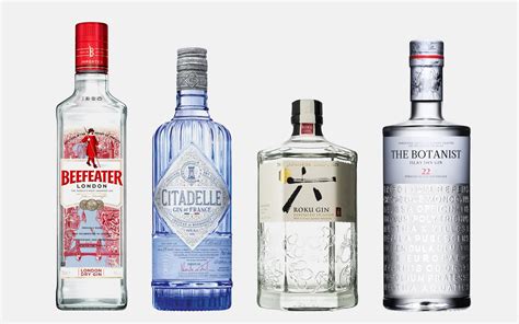 The 15 Best Gins For A Gin and Tonic | GearMoose