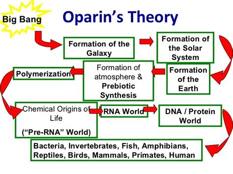 Theory Of Evolution: Oparin And Haldane Theory Of Evolution