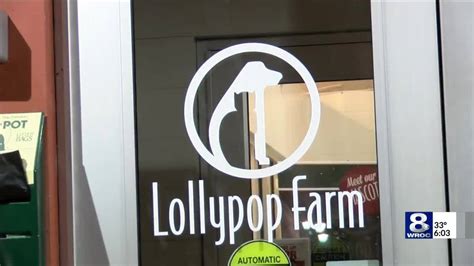 Lollypop Farm's spring adoption specials