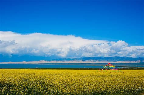 QingHai Lake Tour - China Tours @WestChinaGo