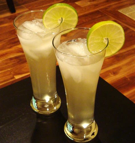 Ginger-Lime Gin & Tonic | Boozed + Infused