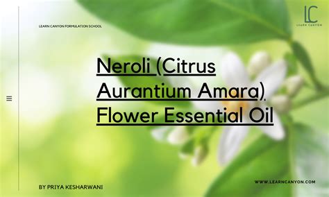 Neroli (Citrus Aurantium Amara) Flower Essential Oil