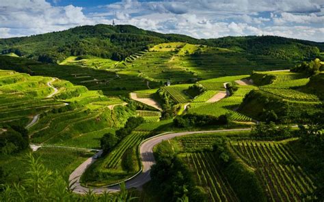 Beautiful Vineyards Landscape Photography - Photography Inspirations Source