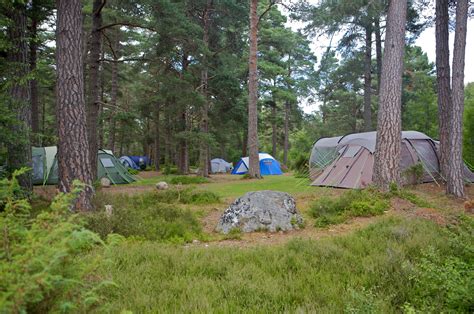 Woodland Campsites – Camping in the Trees