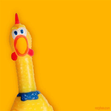 Rubber Chicken GIFs – Archie McPhee