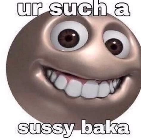 ur such a sussy baka | Sussy Baka | Meme faces, Hamilton memes, Dankest memes