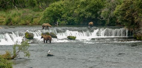 Katmai National Park