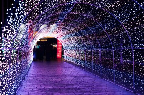 WinterFest At Canada's Wonderland Has A New Twinkling Light Tunnel & It ...