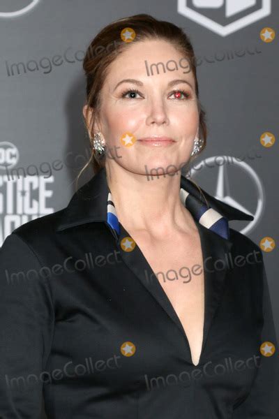 Photos and Pictures - LOS ANGELES - NOV 13: Diane Lane at the World ...