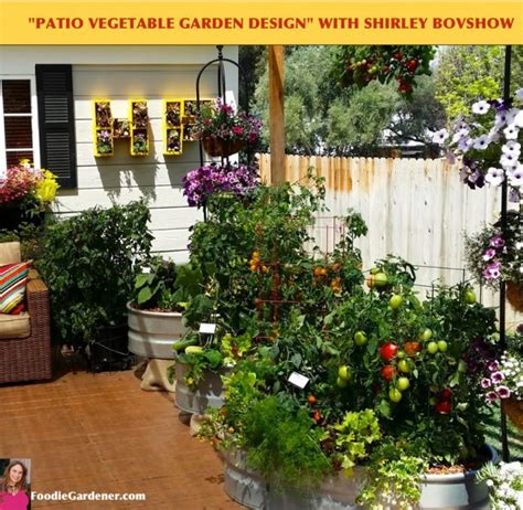 Grow a Container Vegetable Garden on Your Patio: Tips | The Foodie Gardener™