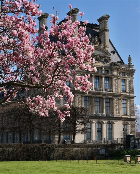 A Walk Through the Tuileries Garden in the Spring - Landen Kerr