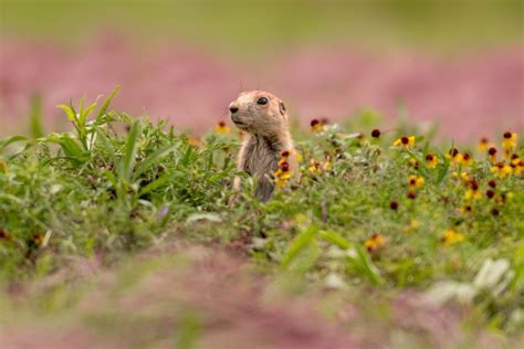 12 Tips for Beautiful Spring Landscape Photography