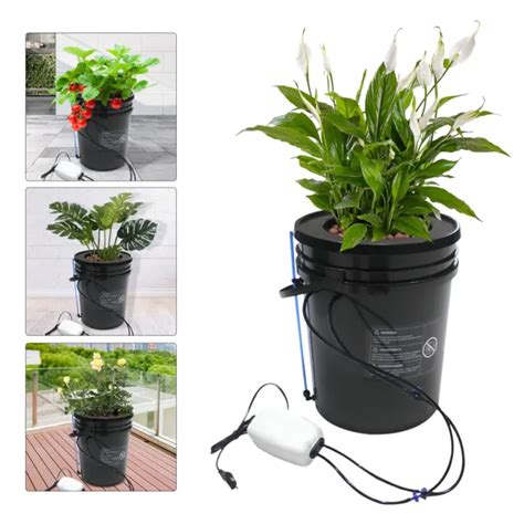 5 GALLON DWC Hydroponic Deep Water Culture Bucket Grow System Tool Kit New US $58.29 - PicClick