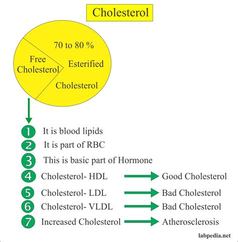 Cholesterol (Serum Cholesterol) – Labpedia.net