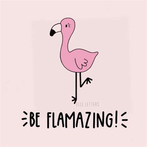 Funny Flamingo Quotes - ShortQuotes.cc