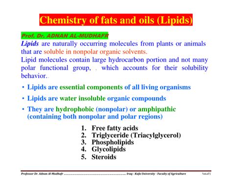 3 Uses Of Lipids In Animals | Sitelip.org