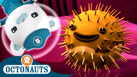 @Octonauts - The Porcupine Puffer Rescue Mission 🐡 | Series 2 | Full ...