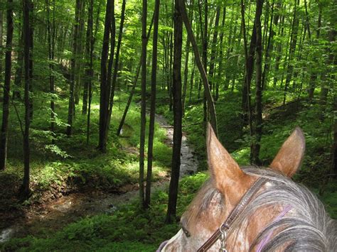 Spring Creek Horse Trail | Visit PA Great Outdoors