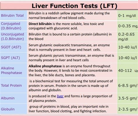 Blood Test For Hepatic Function Panel at Theresa Chen blog