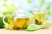 Best Herbal Remedies for Cold & Flu
