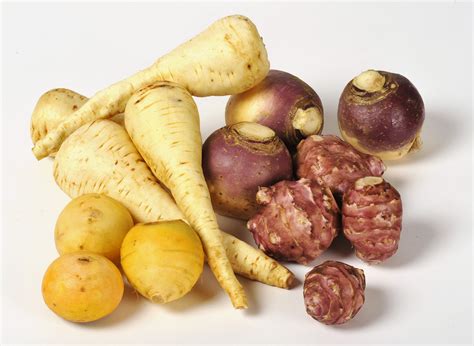 gamme de l gumes anciens : navet boule d'or, panais, rutabaga, topinambour - Observatoire des ...