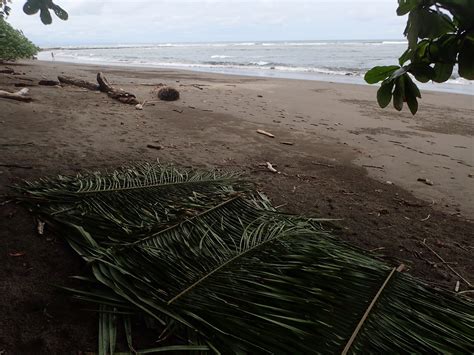 Playa Hermosa-Punta Mala National Wildlife Refuge Photos