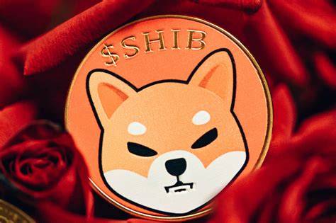 Shiba Inu (SHIB) Price Outlook: Where Does the Dog-Themed Token Go from Here?