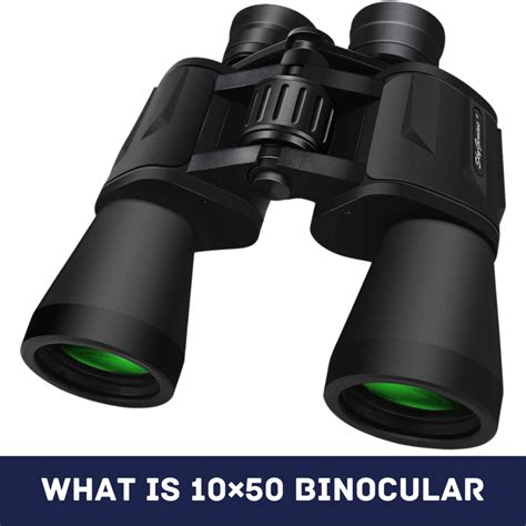 10x42 Vs 10x50 Binoculars for Elk Hunting | Which One Is Better?