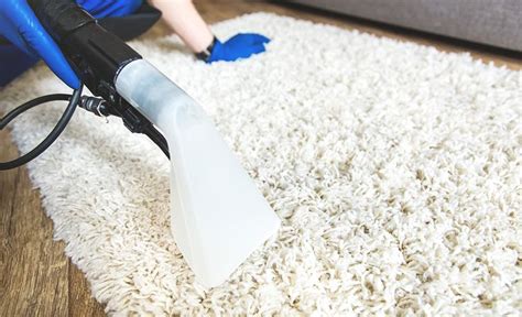 How to Clean a Shag Rug | Cleaning area rugs, Rug cleaning diy, Clean shag rug