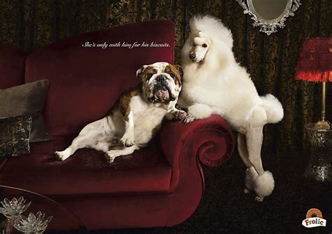 Frolic Dog Food print campaign | Communication Arts