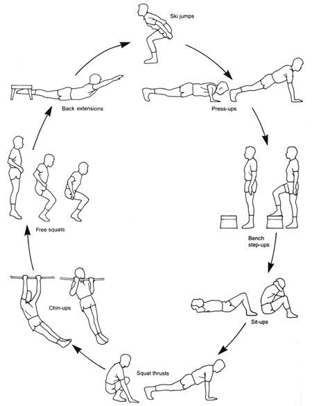 Exercises For Circuit Training