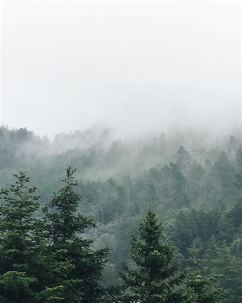 Everything You Need to Know About Fog Photography