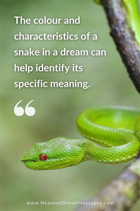 Dream symbols snakes and what they mean – Artofit