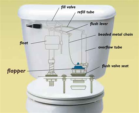 How To Adjust Toilet Flapper With Float at Frances Parker blog