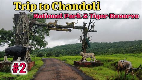 National Park & Tiger Reserve @Chandoli, Maharashtra - YouTube