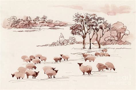 Watercolor Summer Landscape With Sheep Digital Art by Kostanproff - Pixels