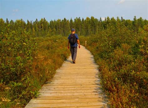 6 Best Hiking Trails in Algonquin Park - Avrex Travel