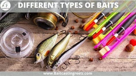 Different Types Of Baits (Most Common Fishing Lures)