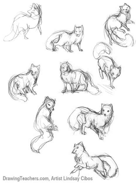 Cartoon Fox - How to Draw a Fox Step by Step