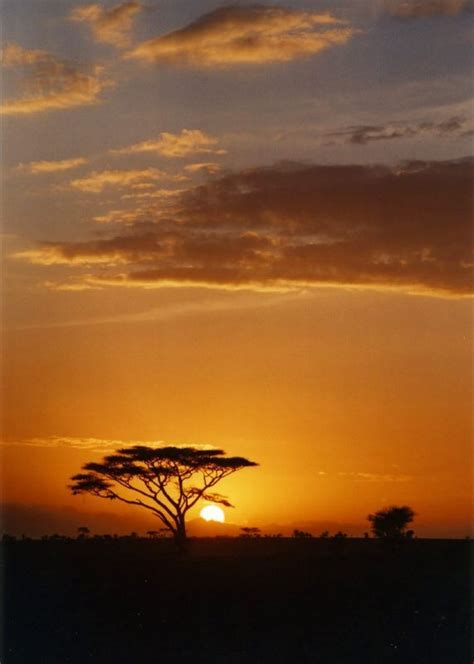 Sunrise in the Serengeti National Park, Tanzania. | Scenic travel, Travel spot, East africa travel